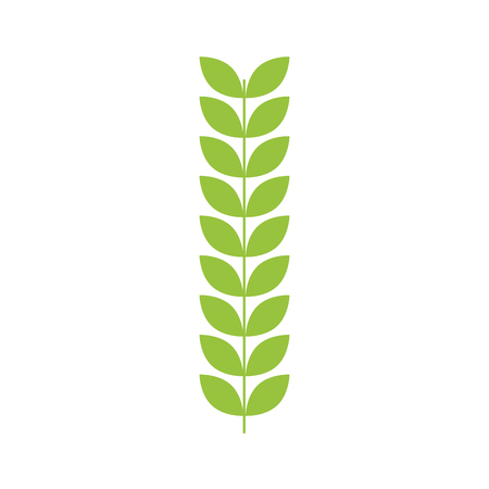 branch laurel leaves decoration natural vector illustrationのイラスト素材