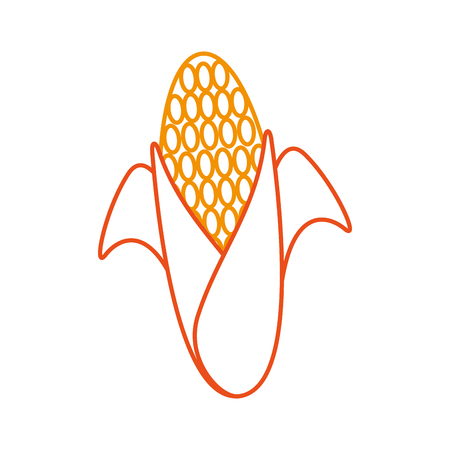 sweet corn cartoon thanksgiving day symbol vector illustrationのイラスト素材