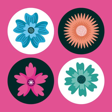 collection natural flower flora decoration vector illustrationのイラスト素材