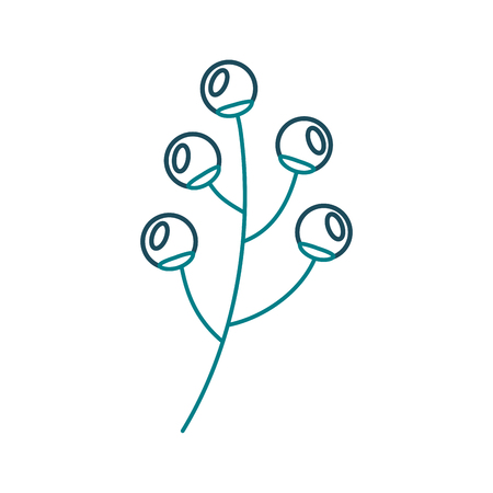 A branch berries plant flora natural image vector illustrationのイラスト素材