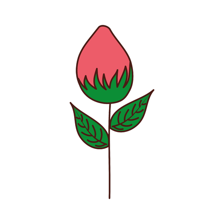 flower garden growth bulb natural image vector illustrationのイラスト素材