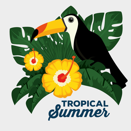 summer tropical background vector illustration graphic designのイラスト素材