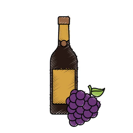 bottle of wine and bunch of grapes alcohol celebration vector illustrationのイラスト素材