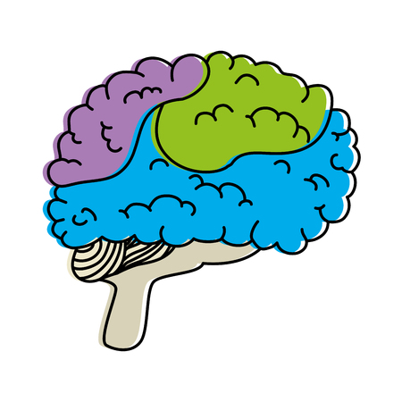 brain human isolated icon vector illustration designのイラスト素材