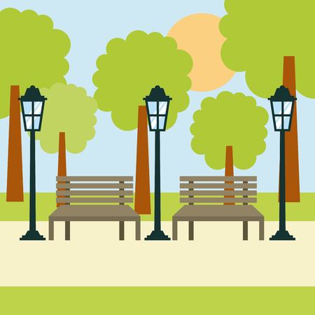 two benches street lamp and tree sun landscape vector illustrationのイラスト素材