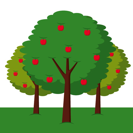 three apple trees bush foliage fruit natural vector illustrationのイラスト素材