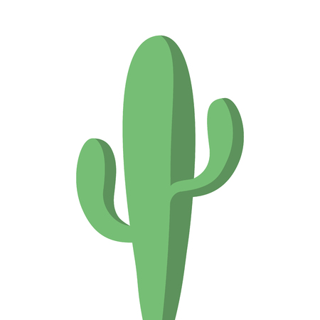 cactus plant desert succulent botanical vector illustrationのイラスト素材