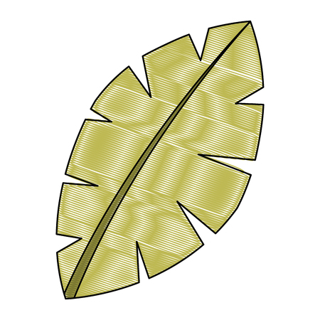 leaf palm tree foliage natural image vector illustration drawingのイラスト素材