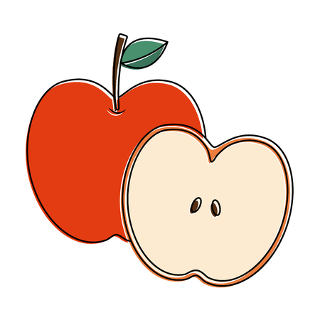 apple and half fruit natural food fresh vector illustrationのイラスト素材