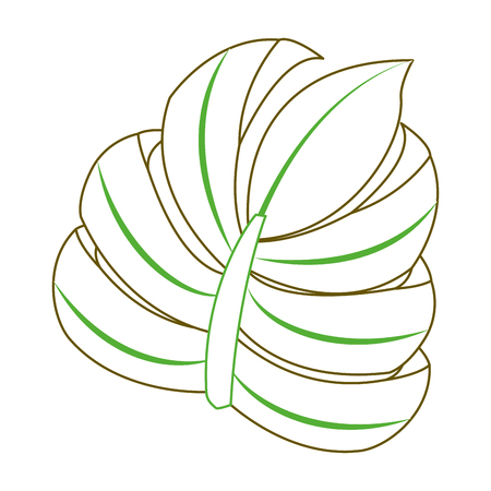 tropical palm leaf jungle floral icon vector illustration green lineのイラスト素材