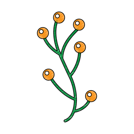 Plant with berries  icon vector illustration in sketch styleのイラスト素材
