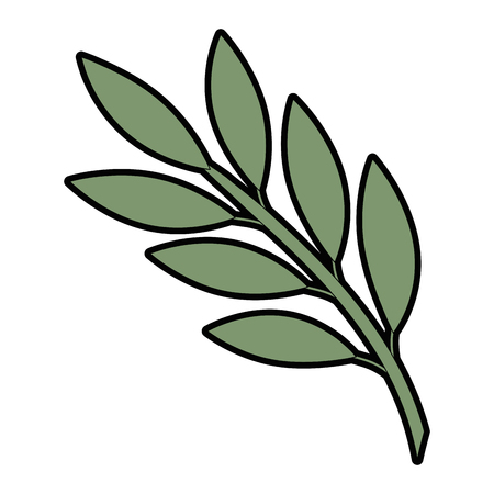 olive branch isolated icon vector illustration designのイラスト素材