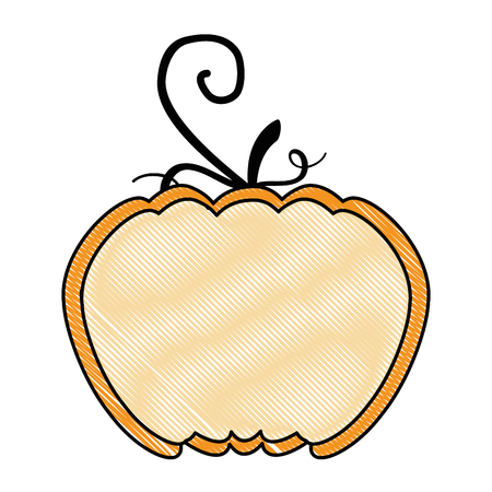 half pumpkin fresh isolated icon vector illustration designのイラスト素材