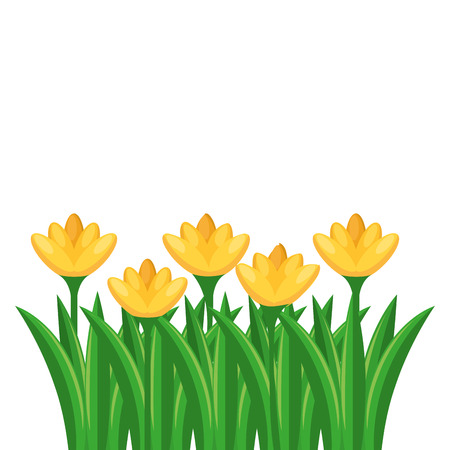 Beautiful flowers cultivated icon illustration design.のイラスト素材