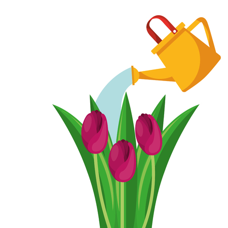 Beautiful roses cultivated with sprinkler vector illustration designのイラスト素材