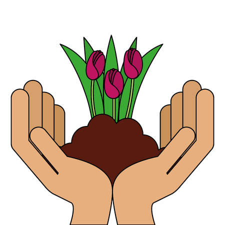 Beautiful roses cultivated with hands vector illustration designのイラスト素材
