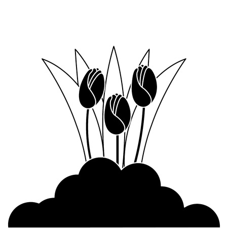 beautiful roses cultivated icon vector illustration designのイラスト素材