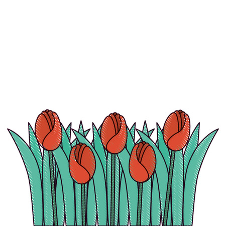 A beautiful roses cultivated icon vector illustration designのイラスト素材