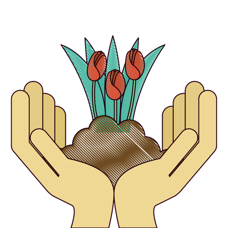 Beautiful roses cultivated with hands vector illustration designのイラスト素材