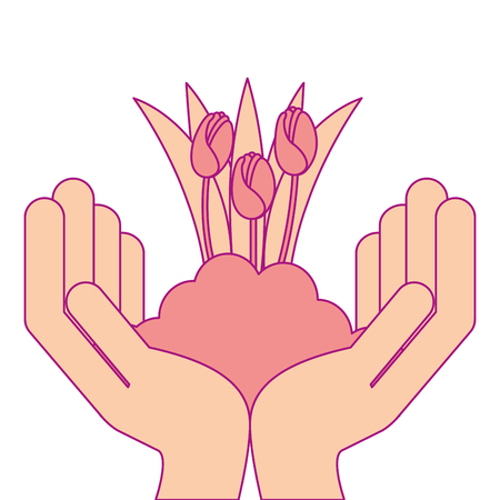 Beautiful roses cultivated with hands vector illustration designのイラスト素材