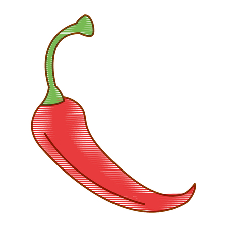 spicy chile vegetable icon vector illustration designのイラスト素材