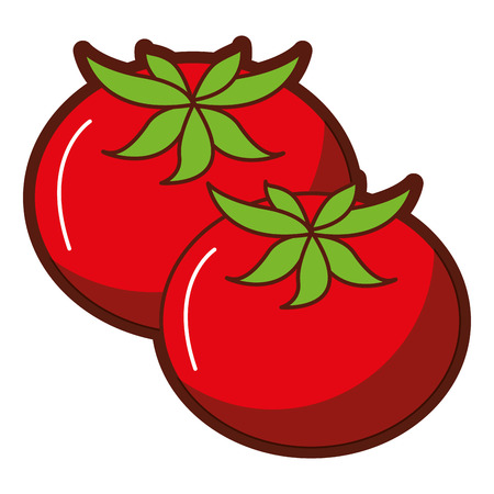 fresh tomatoes isolated icon vector illustration designのイラスト素材