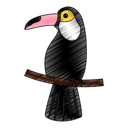 toucan bird tropical on branch image vector illustrationのイラスト素材