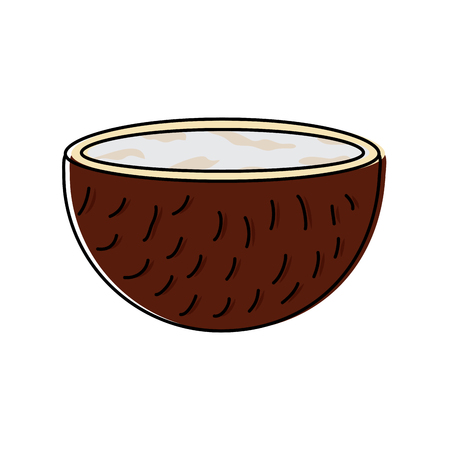 slice coconut tropical fruit health nutrition food vector illustrationのイラスト素材
