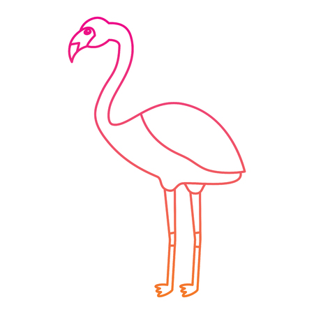 flamingo exotic bird decorative flat design vector illustrationのイラスト素材