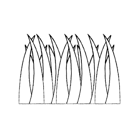 A lawn grass plant icon image vector illustration design black sketch lineのイラスト素材
