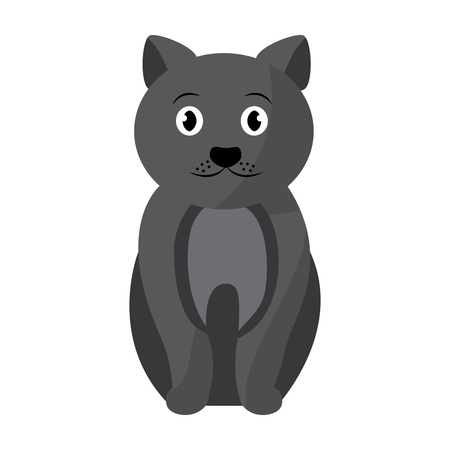 cat sitting pet animal domestic vector illustrationのイラスト素材