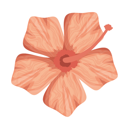 exotic and tropical flower vector illustration designのイラスト素材