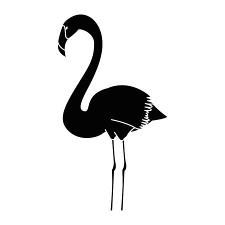 exotic bird flamingo icon vector illustration designのイラスト素材