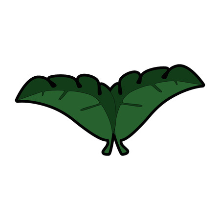 Tropical palm leaf icon vector illustration designのイラスト素材