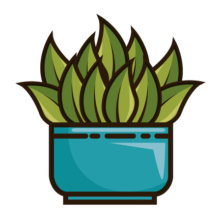 house plant in pot vector illustration designのイラスト素材