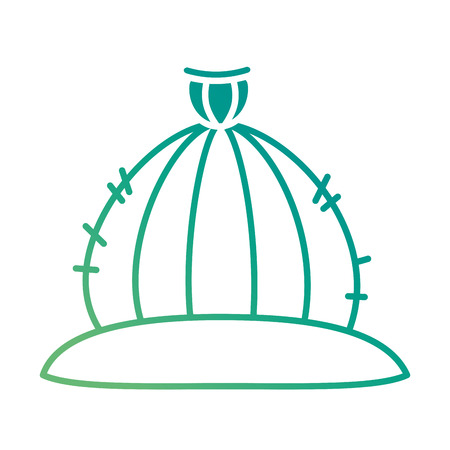 cactus desert isolated icon vector illustration designのイラスト素材