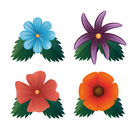 set of beautiful colorful flowers vector illustration graphic designのイラスト素材