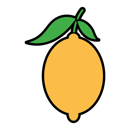 Fresh citrus fruits whole and leaves lemon vector illustrationのイラスト素材