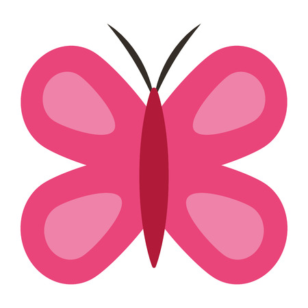 cute pink butterfly wings insect decoration vector illustrationのイラスト素材
