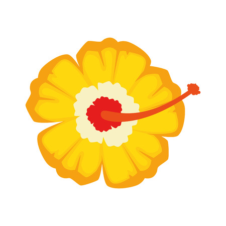 exotic flower isolated icon vector illustration designのイラスト素材