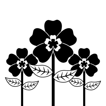 decoration three stem petal flower leaf botanical vector illustrationのイラスト素材