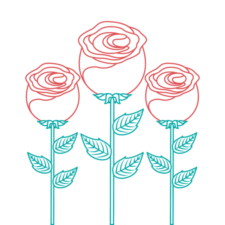 round floral flowers arrangement spring decoration vector illustration color lineal designのイラスト素材
