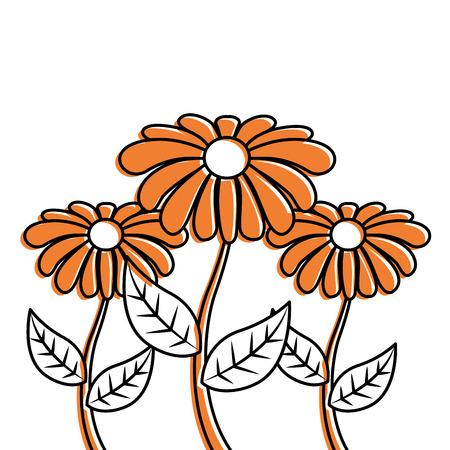 decoration three stem petal flower leaf botanical vector illustrationのイラスト素材