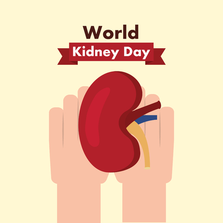 world kidney day medical part human healthy vector illustrationのイラスト素材