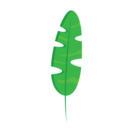 green branch palm leaves frond natural vector illustrationのイラスト素材