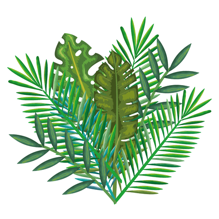 tropical and exotic palms leafs vector illustration designのイラスト素材