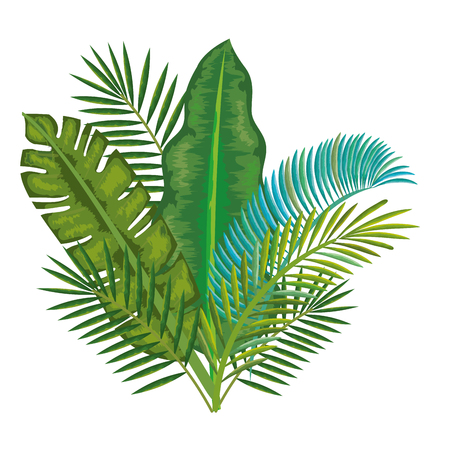 tropical and exotic palms leafs vector illustration designのイラスト素材