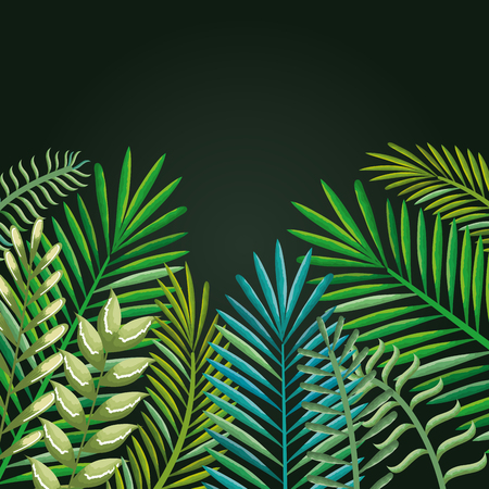Tropical and exotic palms leafs vector illustration designのイラスト素材