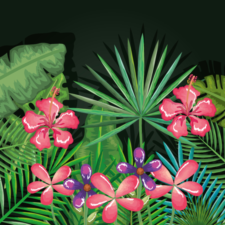 tropical and exotics flowers and leafs vector illustration designのイラスト素材