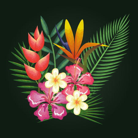 tropical and exotic  flowers and leaves vector illustration designのイラスト素材